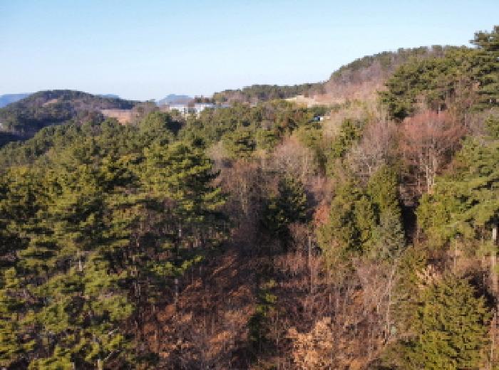 경상남도 거제시 연초면 송정리 486 전 경매 사진 28