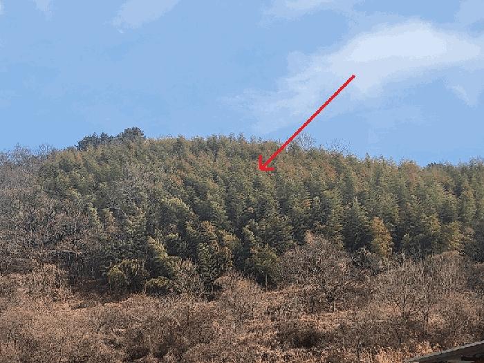 경상남도 거제시 연초면 송정리 486 전 경매 사진 6