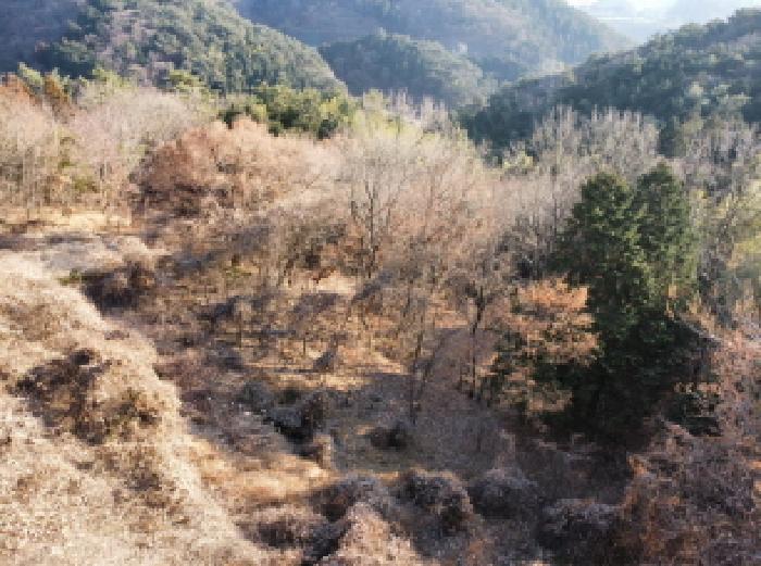 경상남도 거제시 연초면 송정리 486 전 경매 사진 9