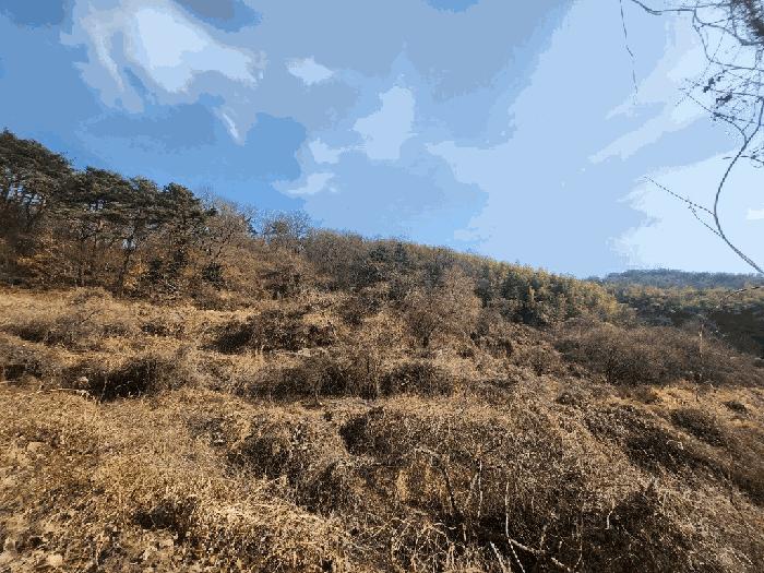 경상남도 거제시 연초면 송정리 492 임야 경매 사진 4
