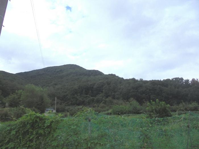 경상남도 밀양시 청도면 구기리 1259 답 경매 사진 1