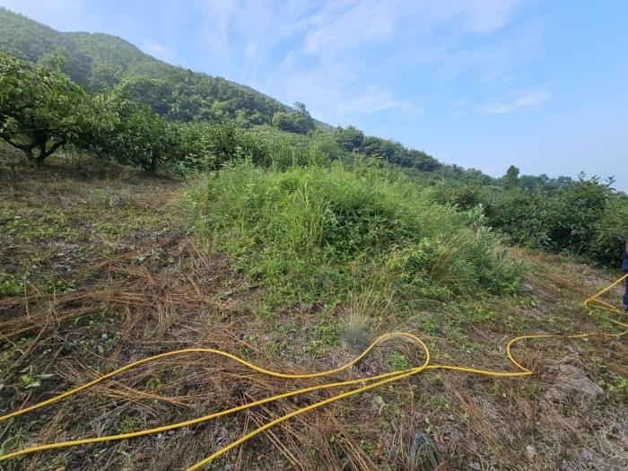 경상남도 밀양시 삼랑진읍 청학리 726 임야 경매 사진 10