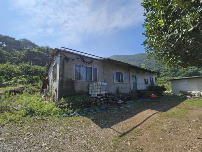 경상남도 밀양시 삼랑진읍 청학리 726 임야 경매 사진 16