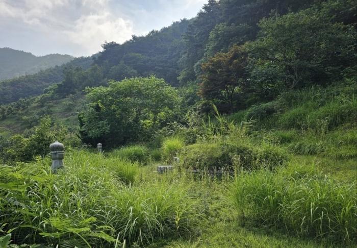 경상남도 밀양시 삼랑진읍 청학리 726 임야 경매 사진 21