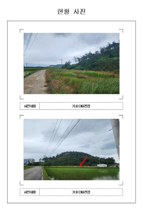 전라남도 신안군 자은면 유각리 914-1 답 경매 사진 21