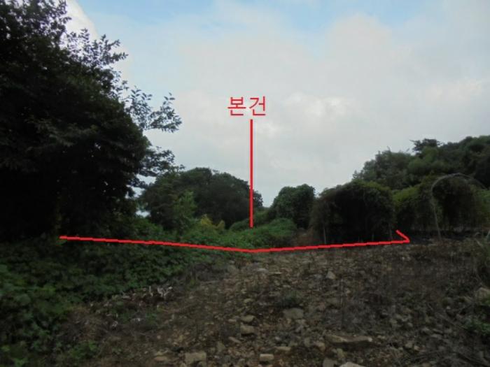 충청북도 단양군 적성면 소야리 560-4 임야 경매 사진 1