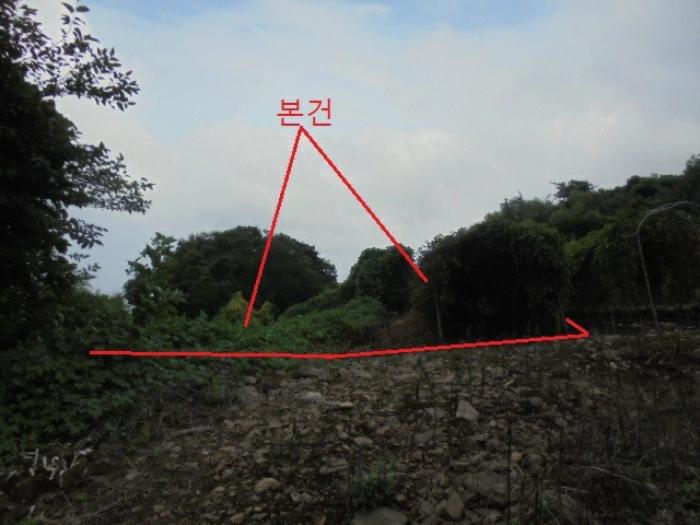 충청북도 단양군 적성면 소야리 560-4 임야 경매 사진 10