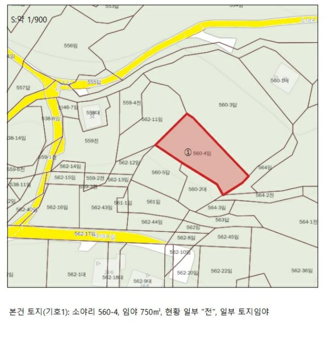 충청북도 단양군 적성면 소야리 560-4 임야 경매 사진 14