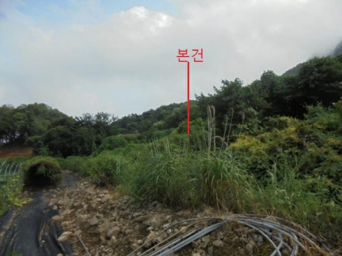 충청북도 단양군 적성면 소야리 560-4 임야 경매 사진 2