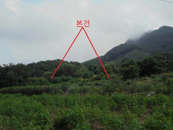 충청북도 단양군 적성면 소야리 560-4 임야 경매 사진 3
