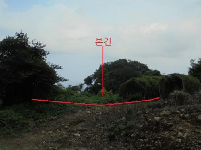 충청북도 단양군 적성면 소야리 560-4 임야 경매 사진 4
