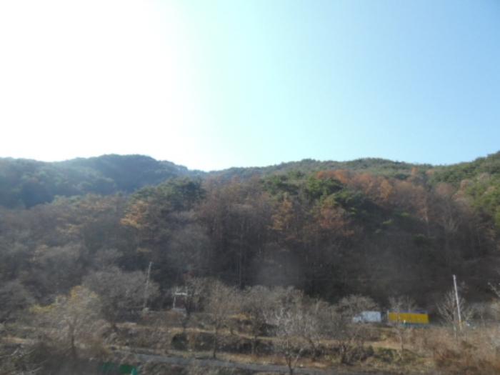 전북특별자치도 무주군 적상면 북창리 369 전 경매 사진 21