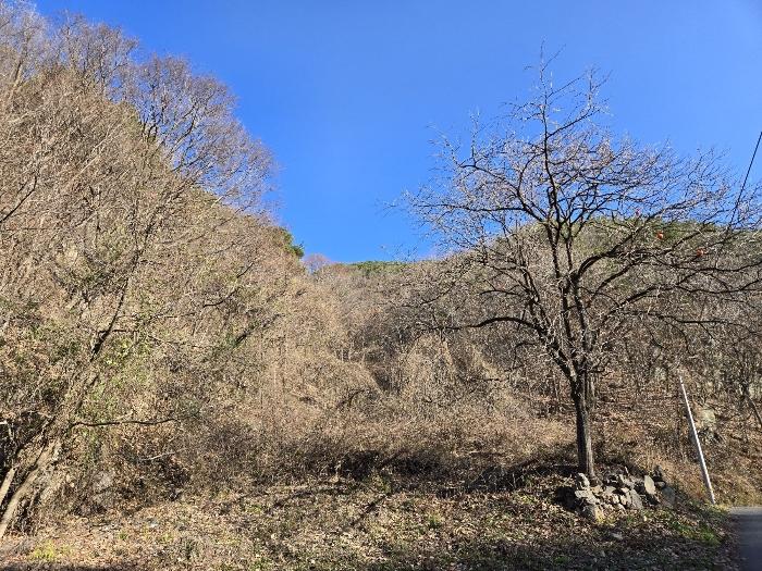 전북특별자치도 무주군 적상면 북창리 369 전 경매 사진 8