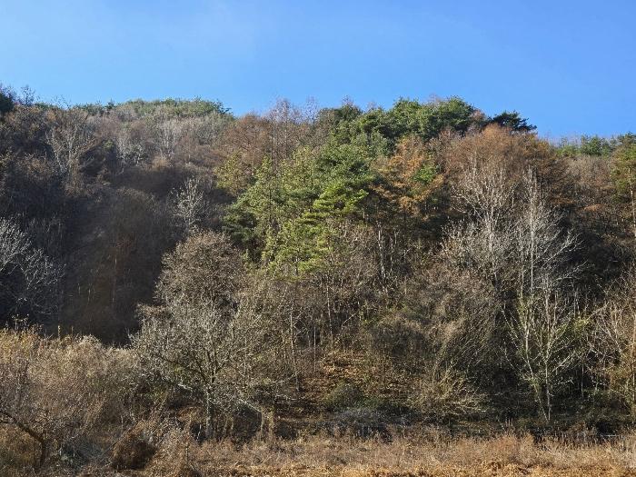 전북특별자치도 무주군 적상면 북창리 403 전 경매 사진 5