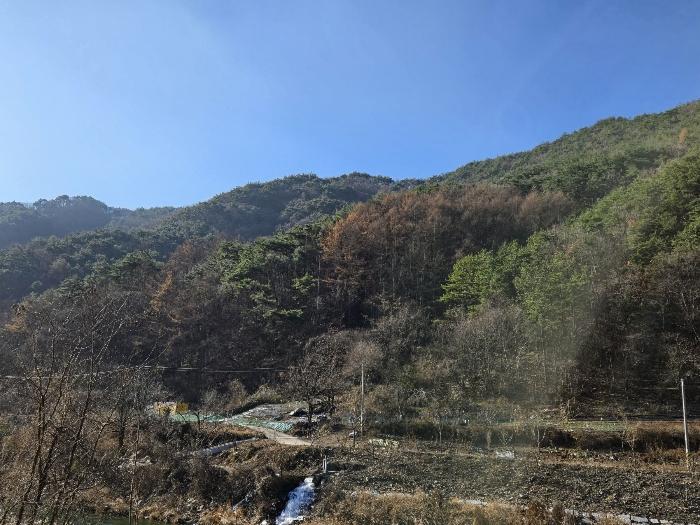 전북특별자치도 무주군 적상면 북창리 403 전 경매 사진 6