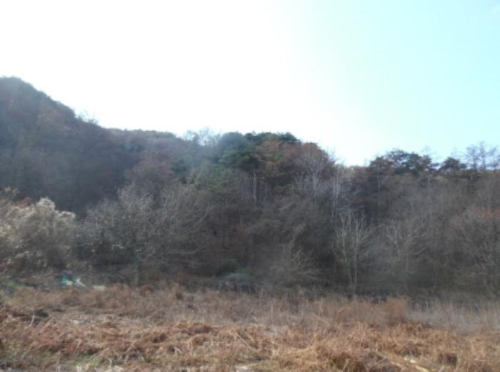 전북특별자치도 무주군 적상면 북창리 404 전 경매 사진 18