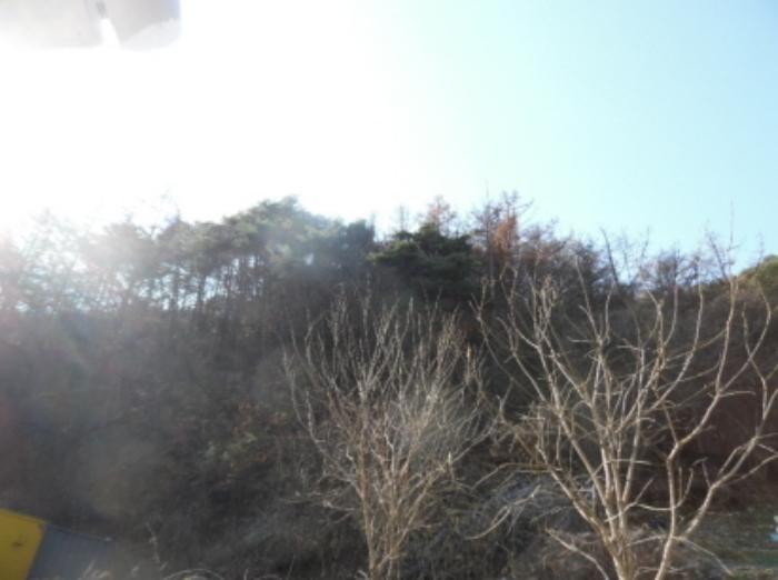 전북특별자치도 무주군 적상면 북창리 404 전 경매 사진 22