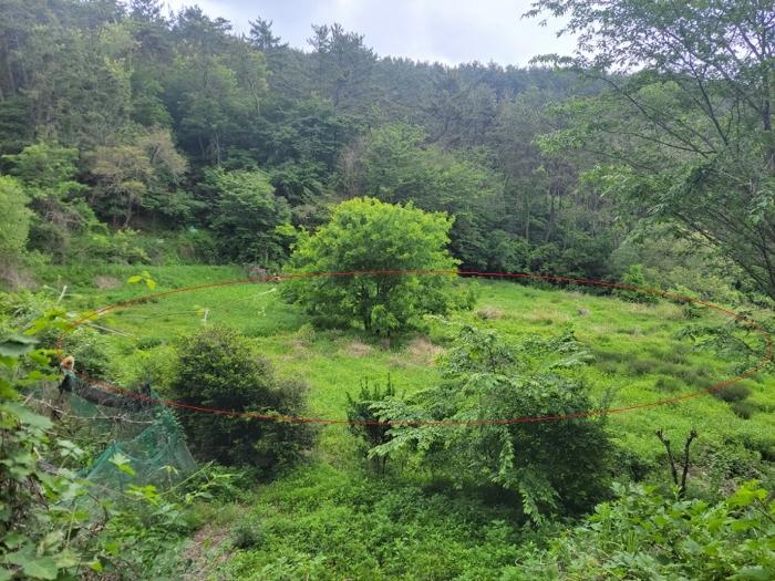 부산광역시 기장군 기장읍 만화리 103 답 경매 사진 2