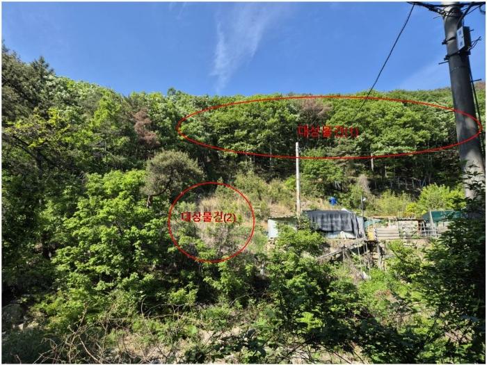 부산광역시 기장군 장안읍 용소리 산44 임야 경매 사진 1