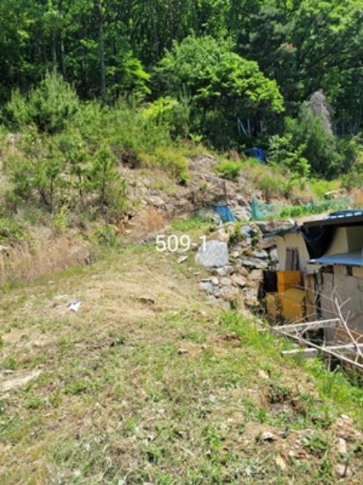부산광역시 기장군 장안읍 용소리 산44 임야 경매 사진 10