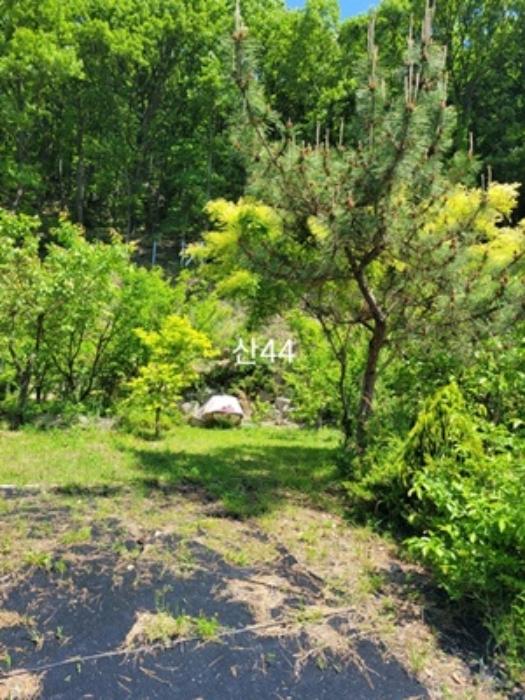부산광역시 기장군 장안읍 용소리 산44 임야 경매 사진 12