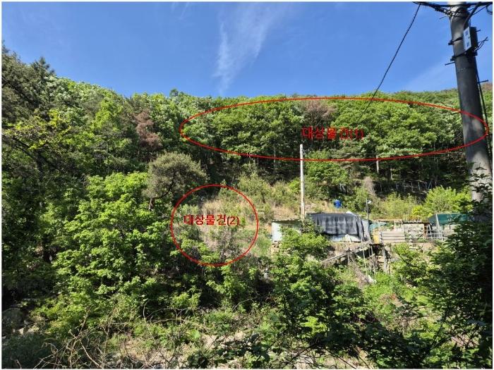 부산광역시 기장군 장안읍 용소리 산44 임야 경매 사진 13