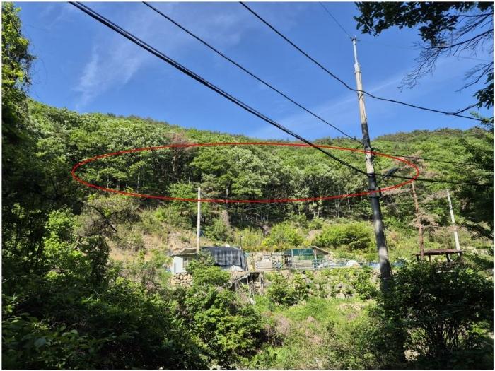 부산광역시 기장군 장안읍 용소리 산44 임야 경매 사진 4