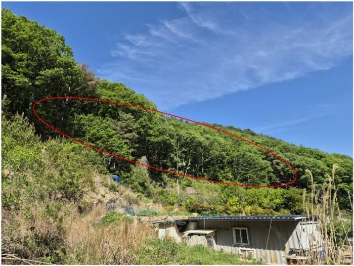 부산광역시 기장군 장안읍 용소리 산44 임야 경매 사진 5