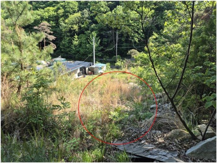 부산광역시 기장군 장안읍 용소리 산44 임야 경매 사진 6