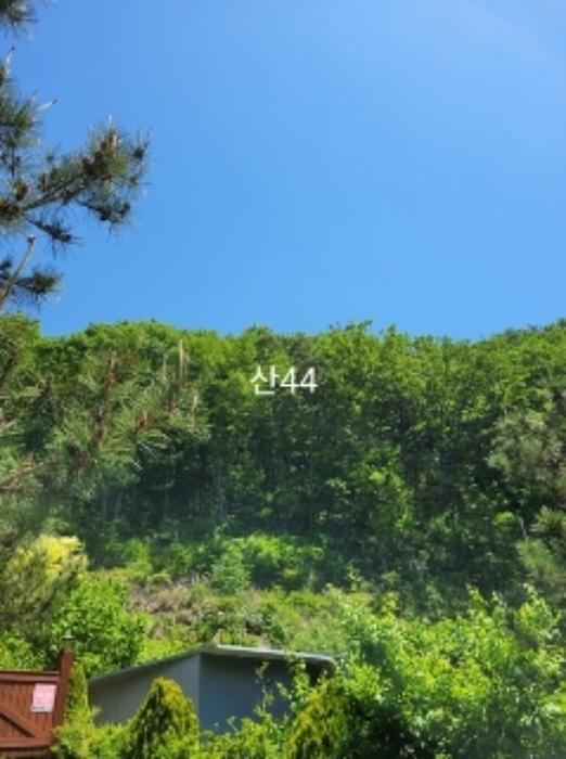 부산광역시 기장군 장안읍 용소리 산44 임야 경매 사진 8