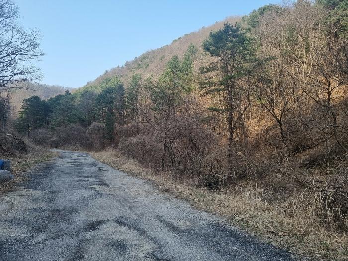 경기 가평군 전