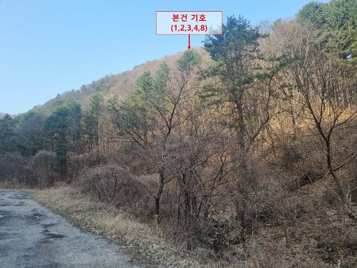 경기도 가평군 상면 항사리 30 전 경매 사진 22