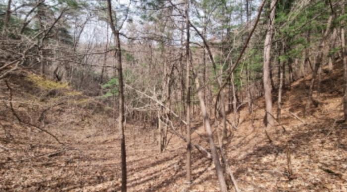 경기도 가평군 상면 항사리 30 전 경매 사진 30