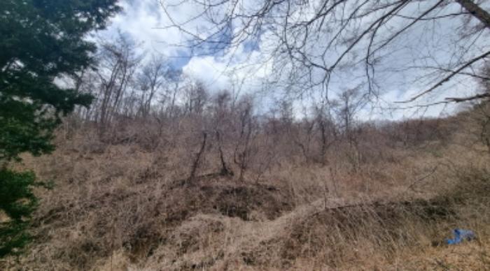 경기도 가평군 상면 항사리 30 전 경매 사진 35