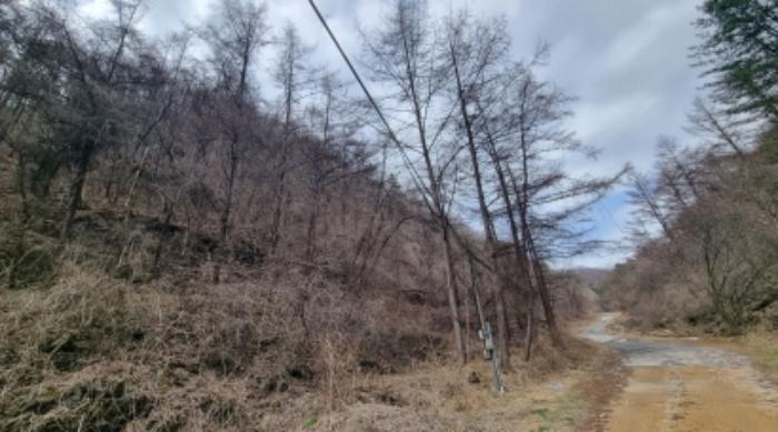 경기도 가평군 상면 항사리 30 전 경매 사진 40