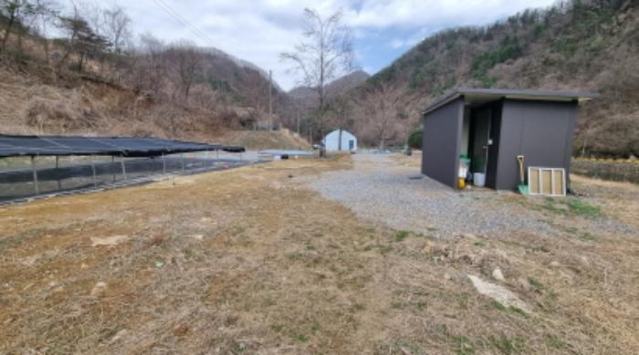경기도 가평군 상면 항사리 30 전 경매 사진 44