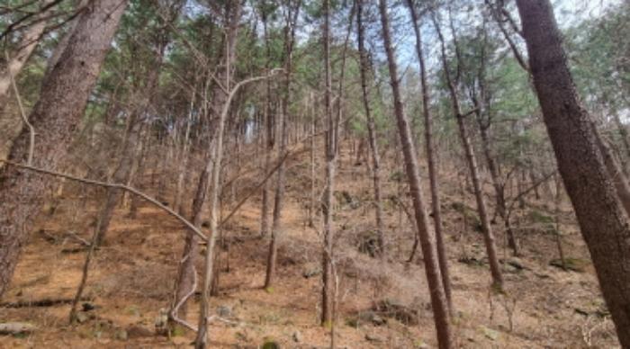 경기도 가평군 상면 항사리 30 전 경매 사진 52