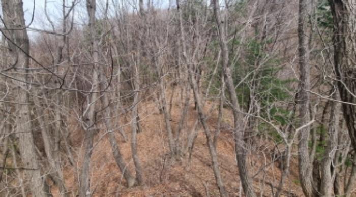 경기도 가평군 상면 항사리 30 전 경매 사진 53