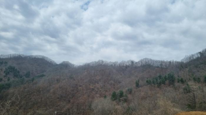 경기도 가평군 상면 항사리 30 전 경매 사진 55