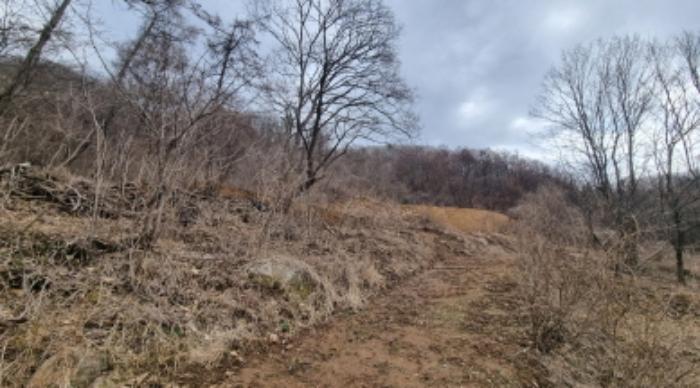 경기도 가평군 상면 항사리 30 전 경매 사진 56