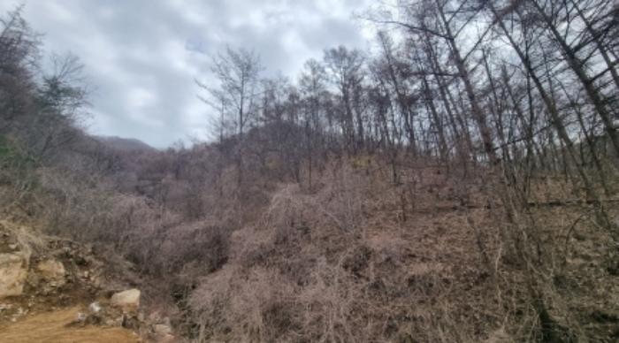 경기도 가평군 상면 항사리 30 전 경매 사진 57