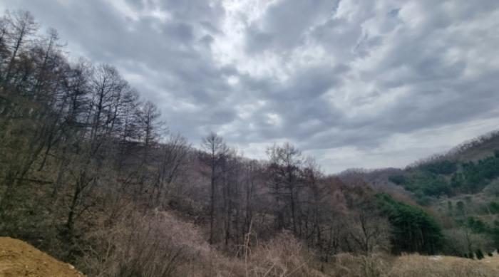 경기도 가평군 상면 항사리 30 전 경매 사진 58