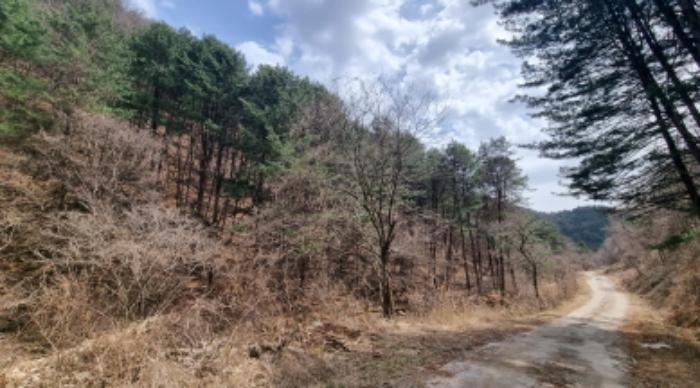 경기도 가평군 상면 항사리 30 전 경매 사진 64