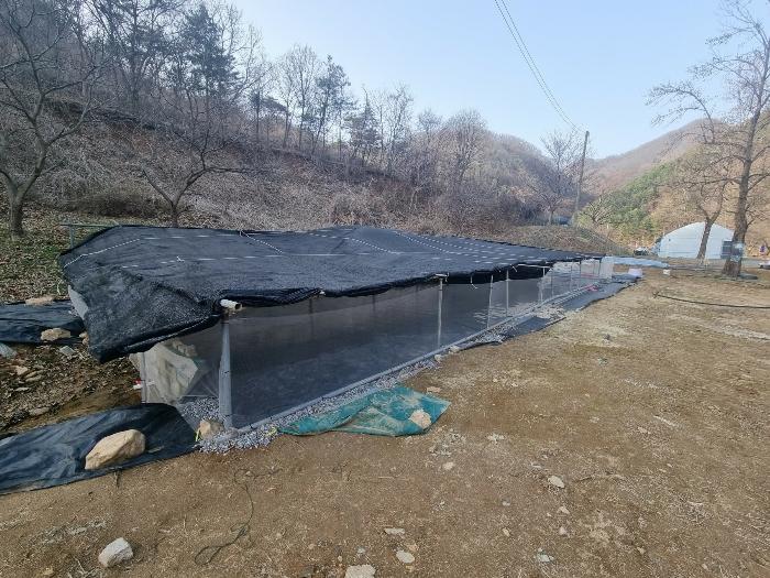 경기도 가평군 상면 항사리 30 전 경매 사진 7