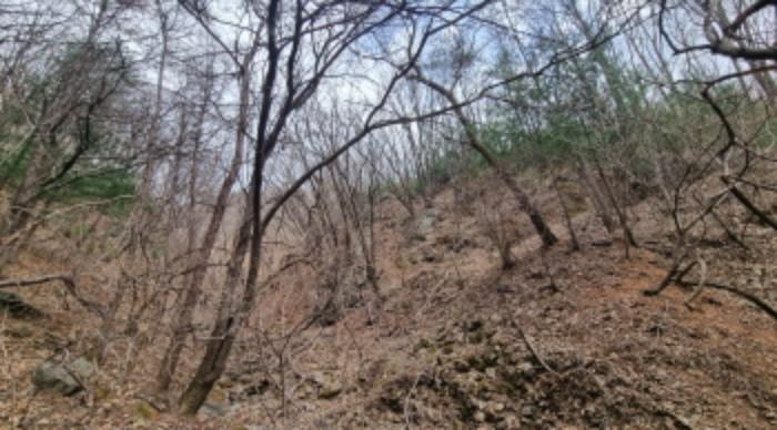 경기도 가평군 상면 항사리 30 전 경매 사진 70