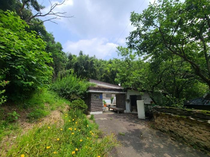 경상남도 함안군 군북면 사도리 101 대지 경매 사진 2