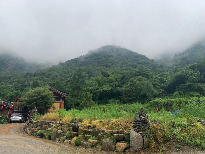 경상남도 창원시 마산합포구 진동면 태봉리 산125 임야 경매 사진 1