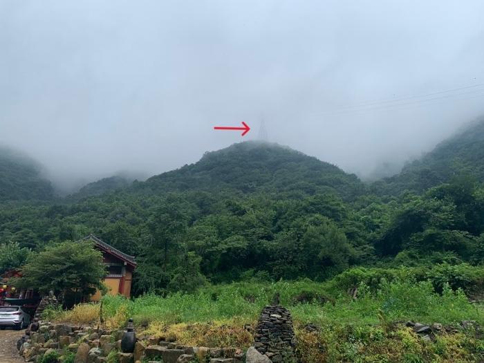 경상남도 창원시 마산합포구 진동면 태봉리 산125 임야 경매 사진 2