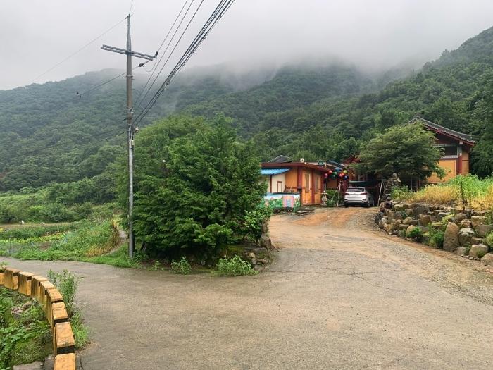 경상남도 창원시 마산합포구 진동면 태봉리 산125 임야 경매 사진 3