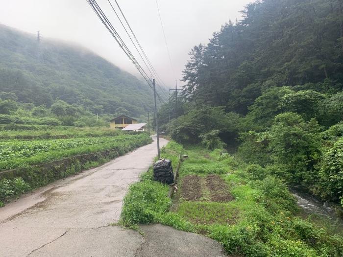 경상남도 창원시 마산합포구 진동면 태봉리 산125 임야 경매 사진 4